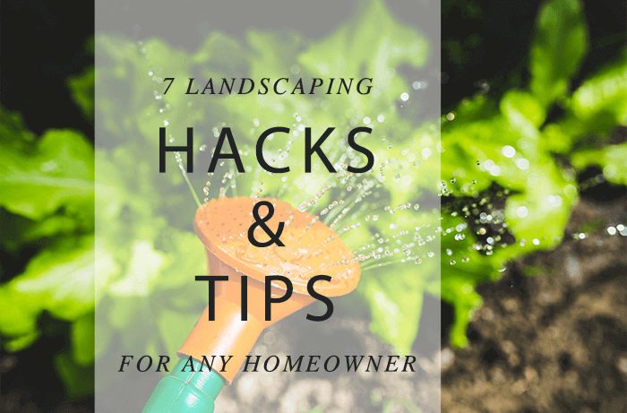 Landscaping Design Hacks & Tricks San Antonio