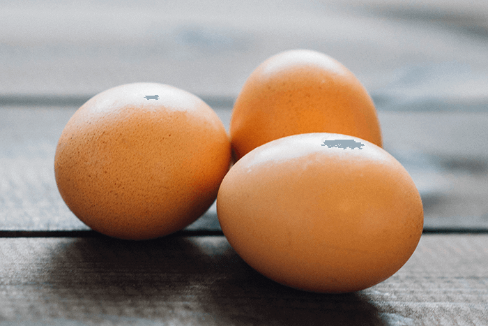 garden hacks-eggs | Hill Horticulture Inc.