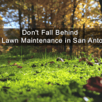 Fall lawn maintenance San Antonio | Hill Horticulture