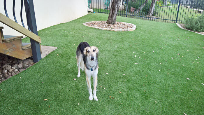 how do you clean fake grass for dogs