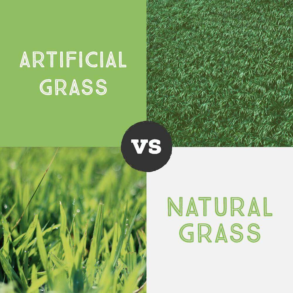 Artificial Grass Vs Natural Grass Comparison Hill Horticulture 6929