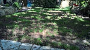 dried out grass before san antonio landscaping